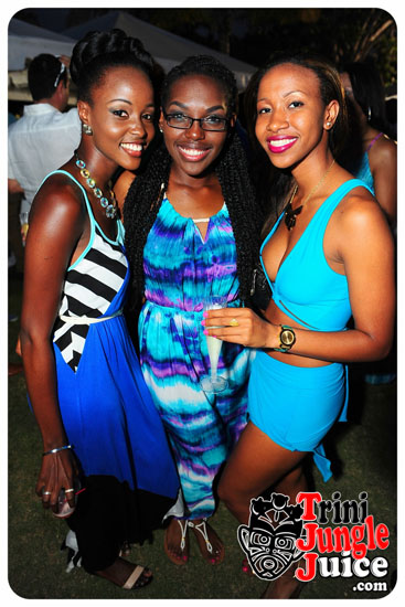 beach_house_bim_2014_pt1-152