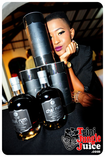 beach_house_bim_2014_pt1-161