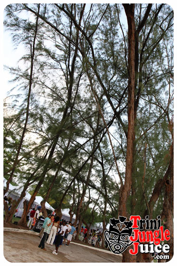 beach_house_bim_2014_pt2-010