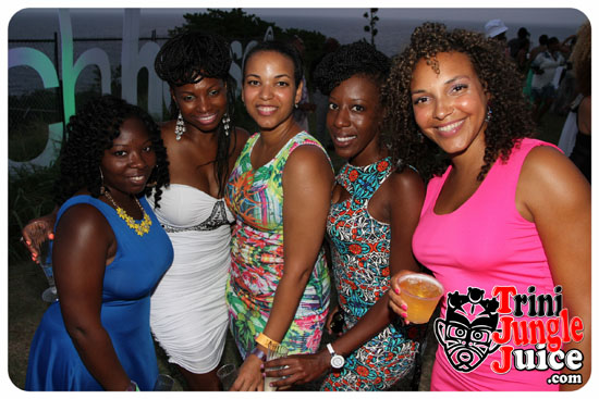 beach_house_bim_2014_pt2-045