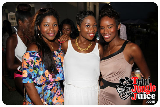 beach_house_bim_2014_pt2-119