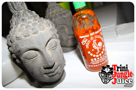 beach_house_bim_2014_pt2-149