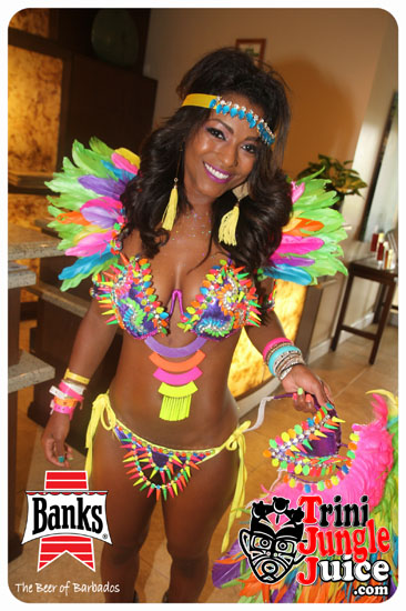 kadooment_day_2014_pt1-001
