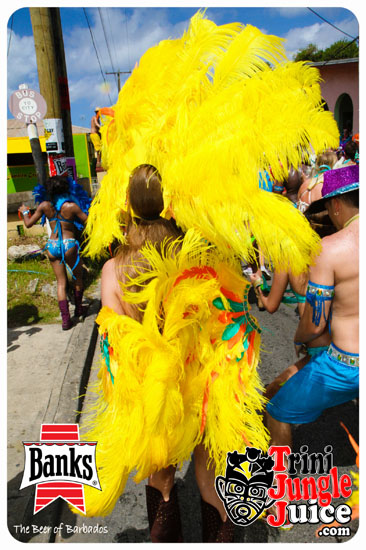 kadooment_day_2014_pt1-068