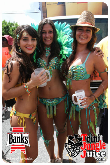 kadooment_day_2014_pt1-085