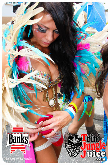 kadooment_day_2014_pt1-101