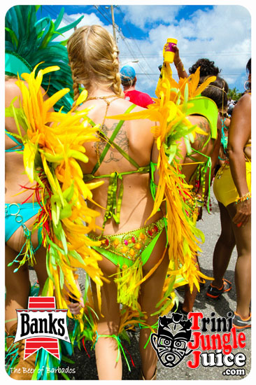 kadooment_day_2014_pt1-106