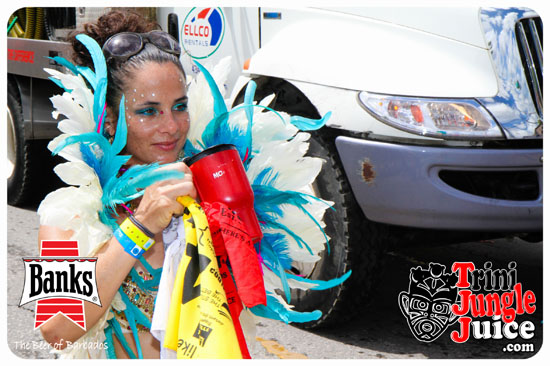 kadooment_day_2014_pt1-110