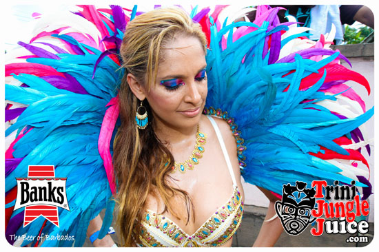 kadooment_day_2014_pt1-111