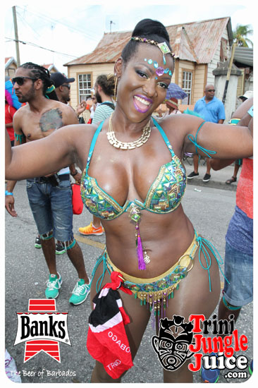 kadooment_day_2014_pt1-158