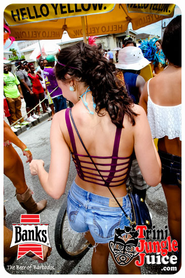 kadooment_day_2014_pt1-174