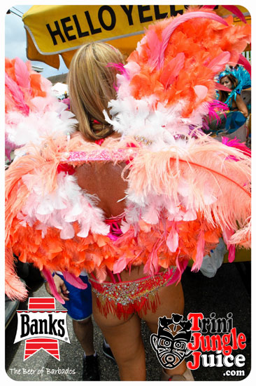 kadooment_day_2014_pt1-177