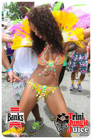 kadooment_day_2014_pt1-189