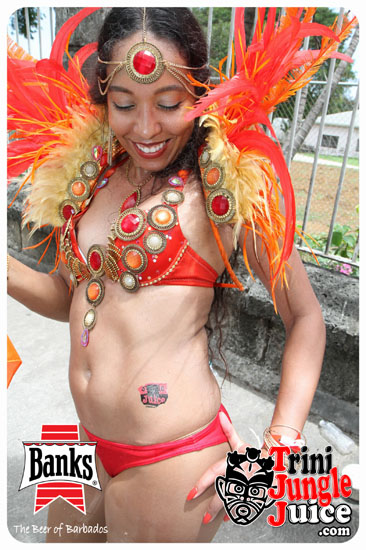 kadooment_day_2014_pt2-032