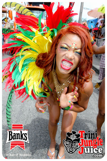 kadooment_day_2014_pt2-052