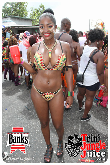 kadooment_day_2014_pt2-112