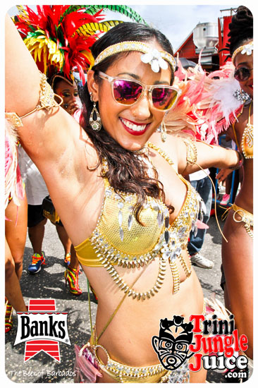 kadooment_day_2014_pt2-118