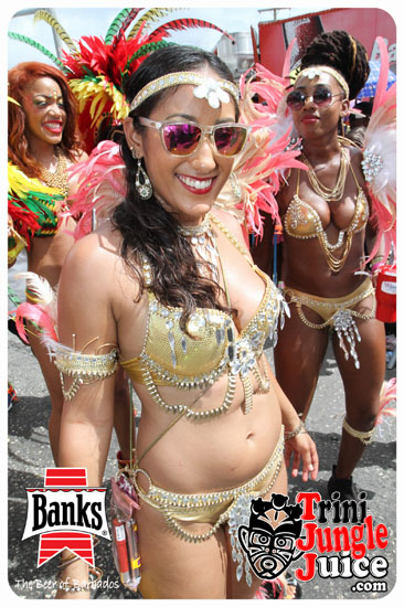 kadooment_day_2014_pt2-119