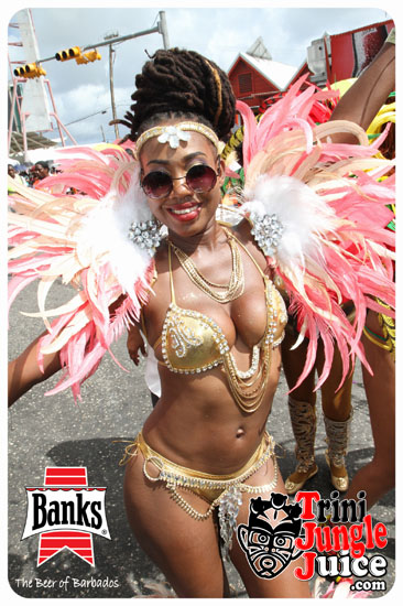 kadooment_day_2014_pt2-120