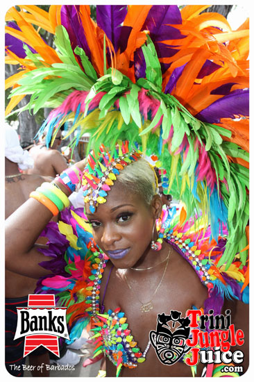 kadooment_day_2014_pt2-134