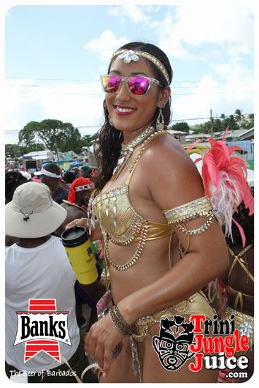 kadooment_day_2014_pt2-138