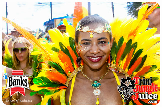 kadooment_day_2014_pt3-049