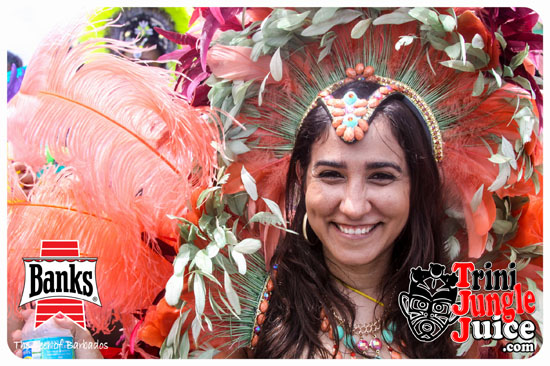 kadooment_day_2014_pt3-097