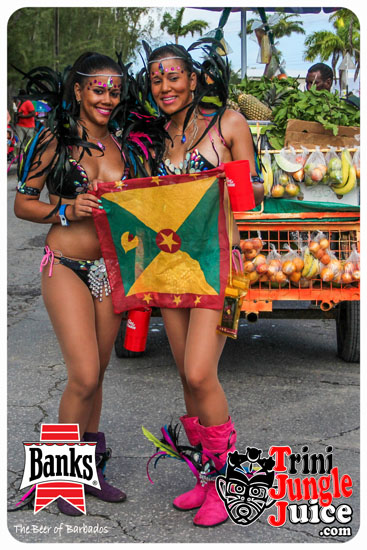 kadooment_day_2014_pt4-001