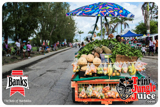 kadooment_day_2014_pt4-002