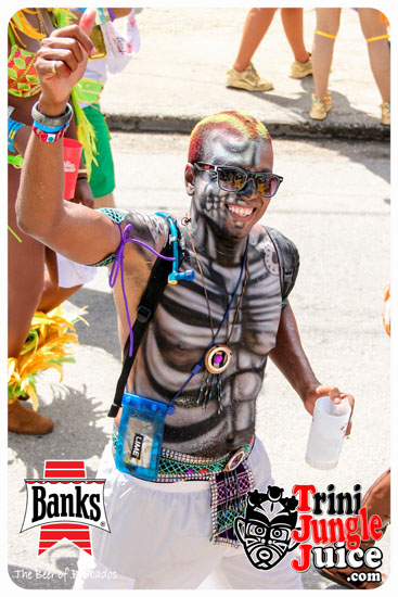 kadooment_day_2014_pt4-018