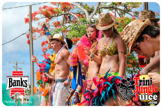 kadooment_day_2014_pt4-024