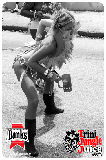 kadooment_day_2014_pt4-048