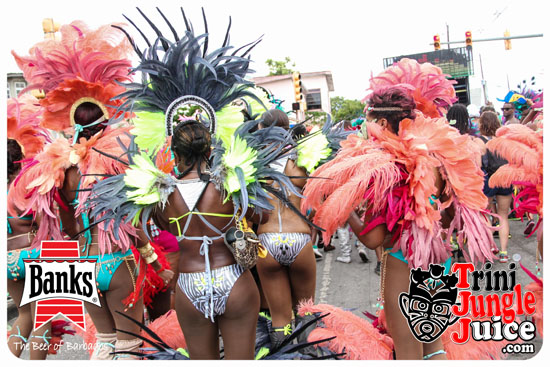 kadooment_day_2014_pt4-062