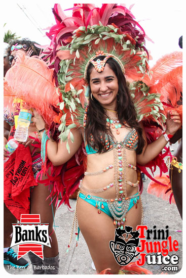 kadooment_day_2014_pt4-138