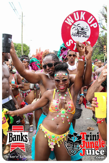 kadooment_day_2014_pt4-142