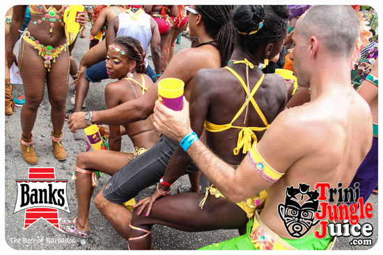 kadooment_day_2014_pt4-144