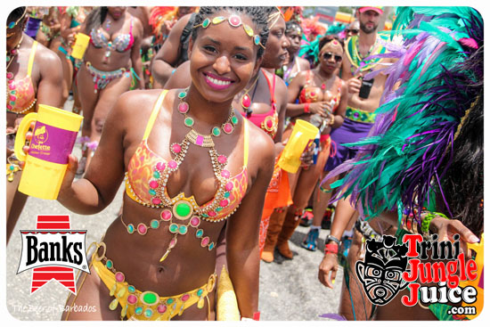 kadooment_day_2014_pt5-039