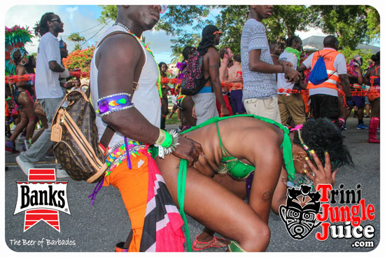 kadooment_day_2014_pt5-079