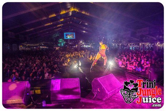 antilliaanse_feesten_2014_pt_1-142