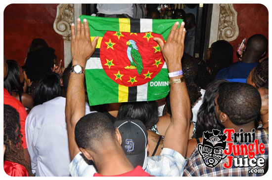 pure_happiness_2014-049