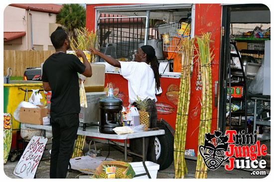 palm_beach_carnival_2014-013