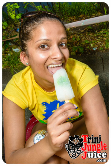 berlin_carnival_parade_2014_pt1-017