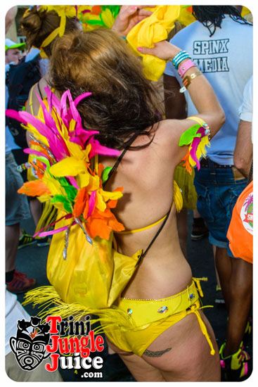 berlin_carnival_parade_2014_pt1-133