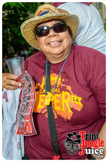 berlin_carnival_parade_2014_pt2-087