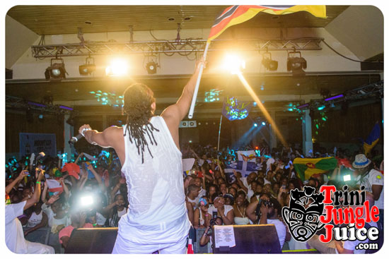 carnival_glow_2014-045