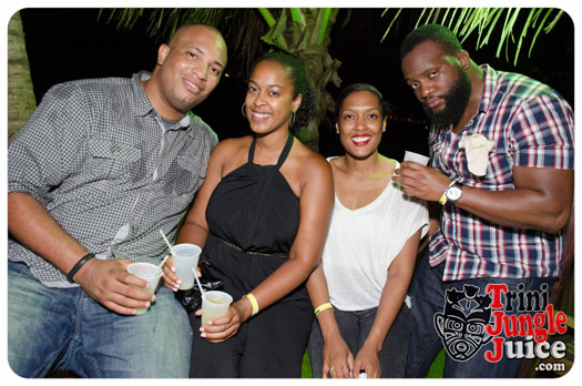 permit_fete_2014-010