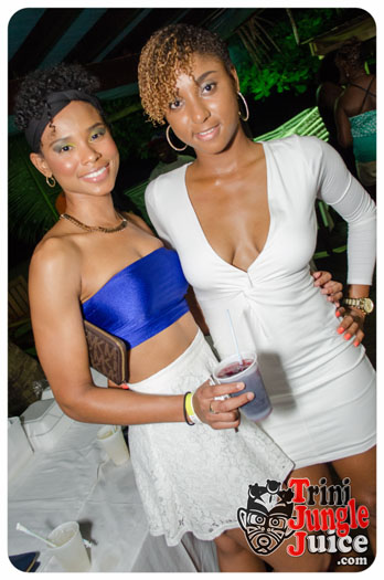 permit_fete_2014-013