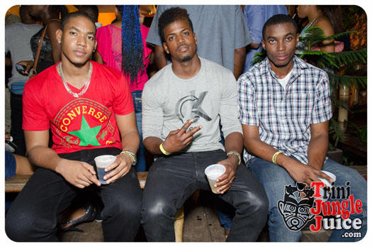 permit_fete_2014-018