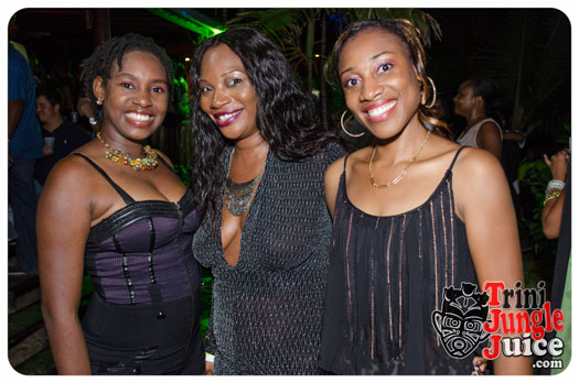 permit_fete_2014-026