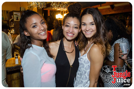 permit_fete_2014-035